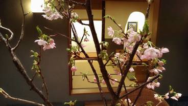 施設内の設備 / 1