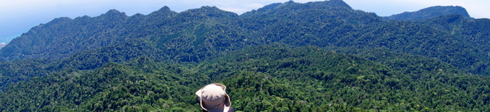 屋久島へひとり旅。おひとり様におすすめのホテル＆旅館7選