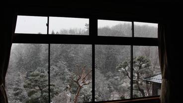 部屋からの景観 / 32