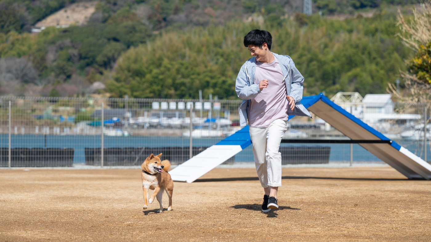 愛犬家の女子旅にぴったり♪ワンちゃんと泊まれるレイクビューホテル4091008