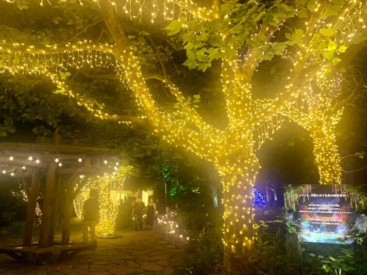 maaai.77さんの写真 / 1