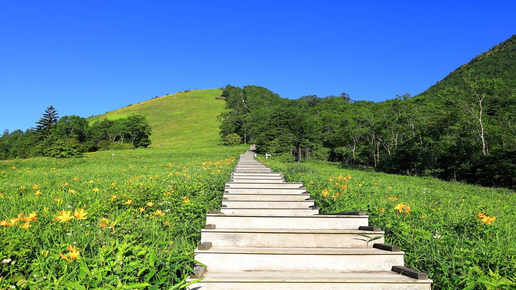 霧降高原キスゲ平園地 / 1