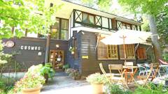 FOREST RESORT COSMOS