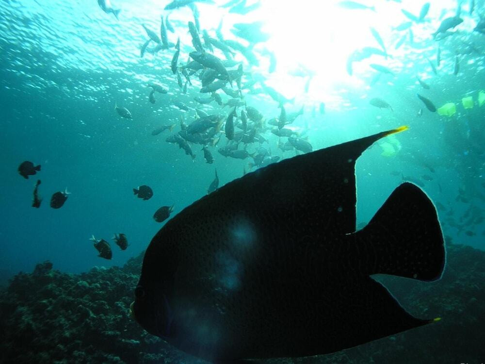 フィットネス設備