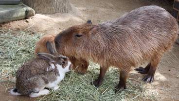 ランド ビュー / 22