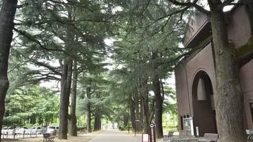 シティ ビュー / 19