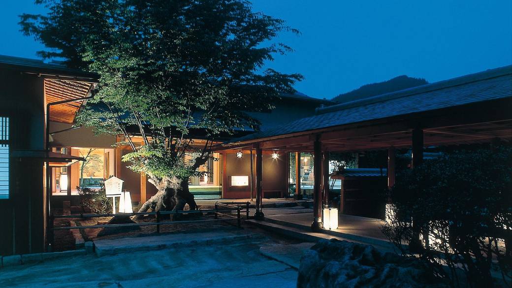 玄関前の石抱き欅 / 3