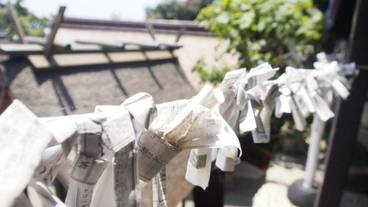 施設の敷地 / 14