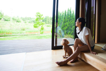 Woman relaxing in a cottage with her dog