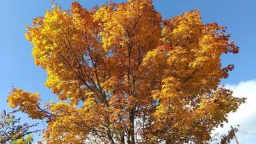 施設からの眺望 / 11
