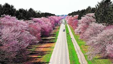 ランド ビュー / 26