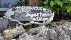 竹富島ゲストハウス＆ジュテーム