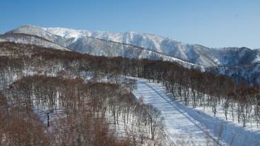 スノー スポーツとスキー / 1