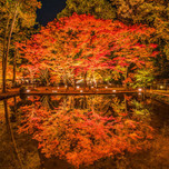 水面に映る紅葉が美しい！水辺の絶景紅葉スポット7選【全国】