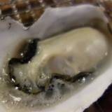 クラブシャック（クラブシャック）