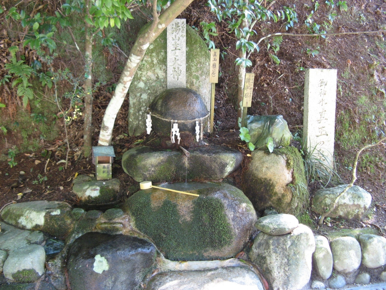 3. 叶い石をお清め1134494