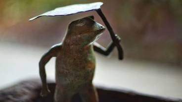 内部エントランス / 2