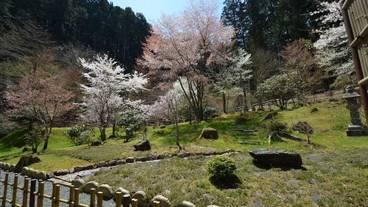 ガーデン ビュー / 32