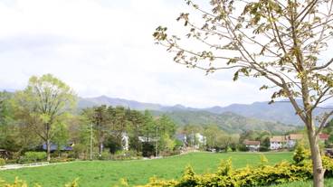 清里高原の風景 / 8