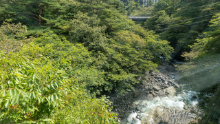 ダブル 禁煙 [個室露天風呂]