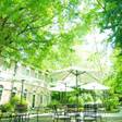 旧軽井沢 ホテル音羽ノ森