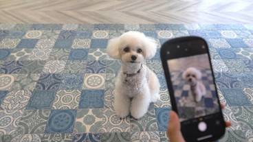 ペット用設備・サービス / 3