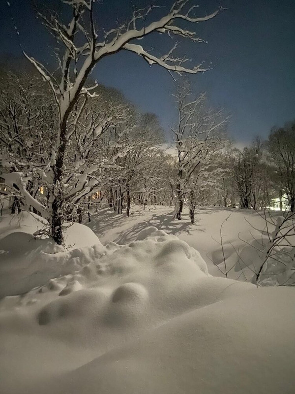 スノー スポーツとスキー