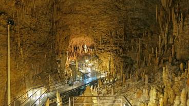 おきなわワールド(2) / 2