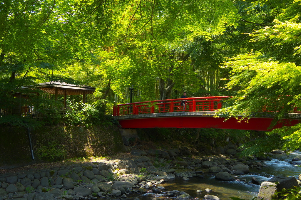 桂川646716