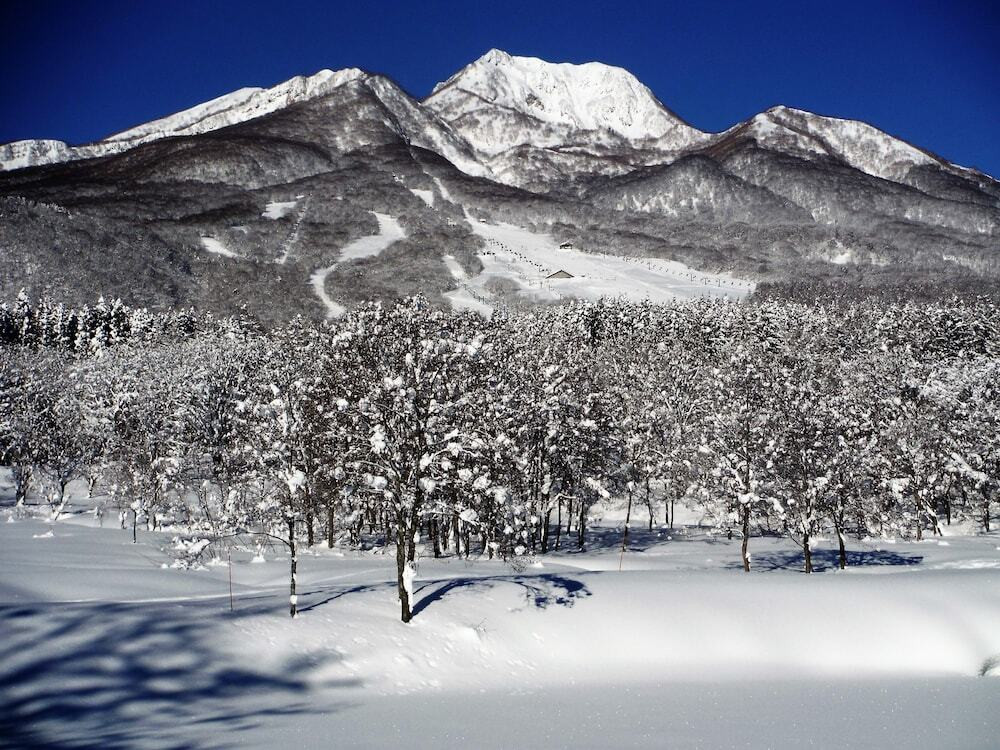マウンテン ビュー