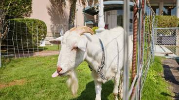 施設の入り口 / 15