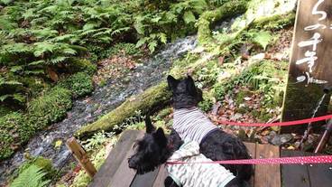 観光スポット / 9