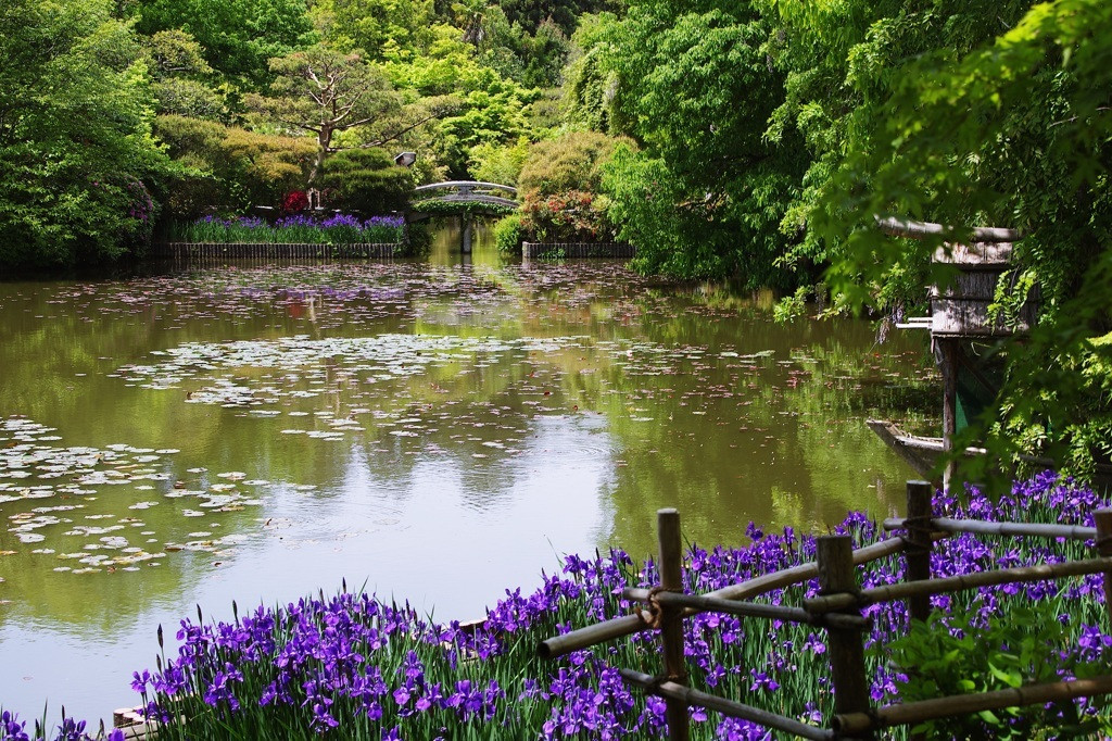 鏡容池を取り巻く庭園1025901