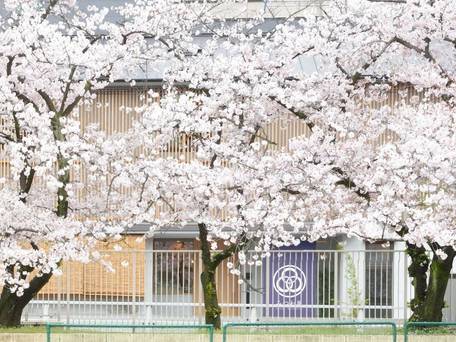 ホステル みつわ屋大阪（Hostel Mitsuwaya Osaka） / 5