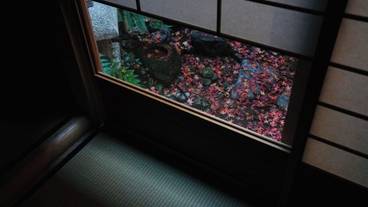 建物のデザイン / 6