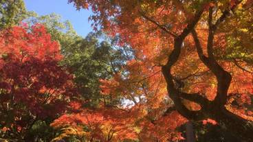 施設の敷地 / 22