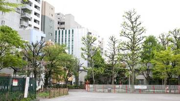 子供用の遊び場 - 屋外 / 7