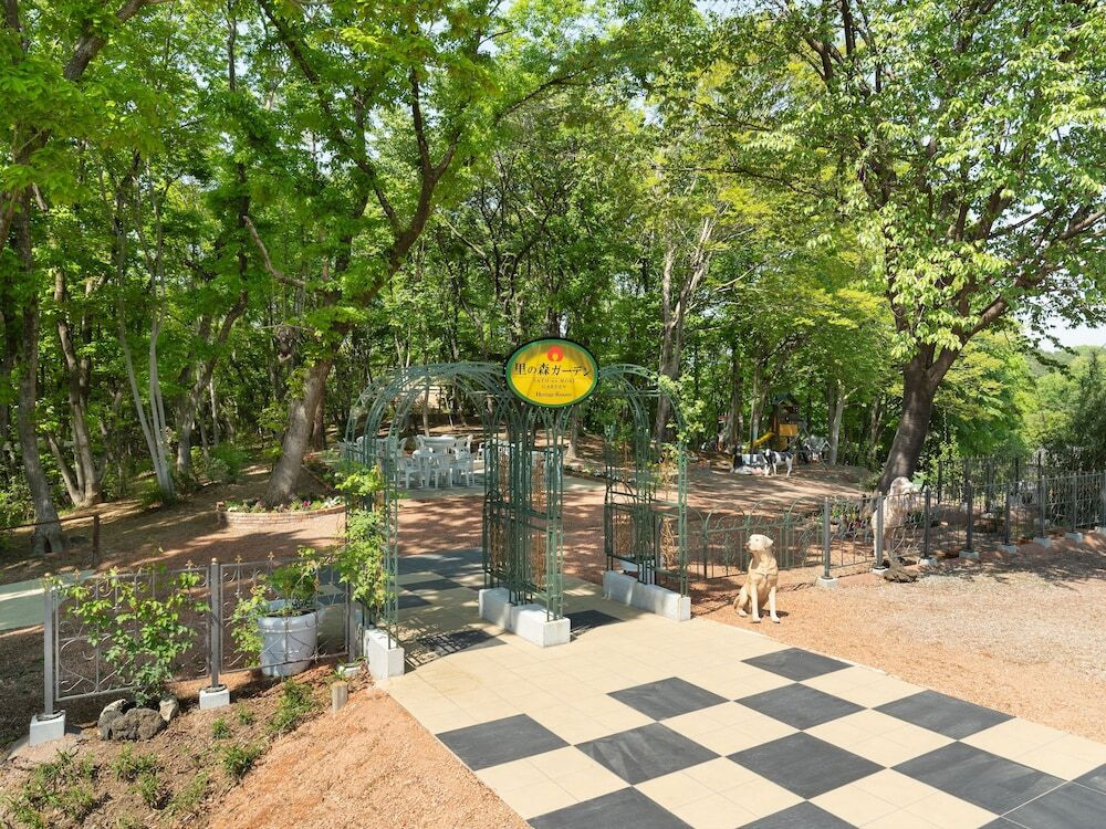 テラス / パティオ