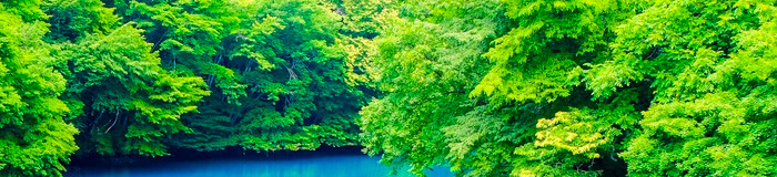 【四万温泉】幻想的なカップル旅へ。二人の世界に浸れる旅館8選