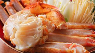 食事・飲み物 / 7