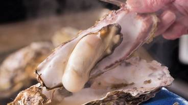 食事・飲み物 / 14