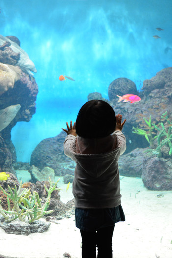 「関門海峡」の目の前で観光も買い物も近くて便利！4253162