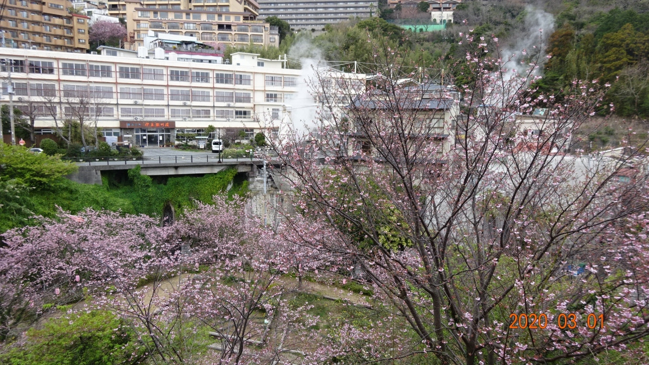 フラワーパークから国民宿舎を見る