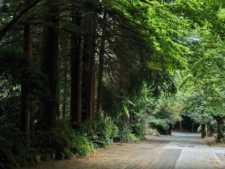 紫陽花温泉旅館 / 4