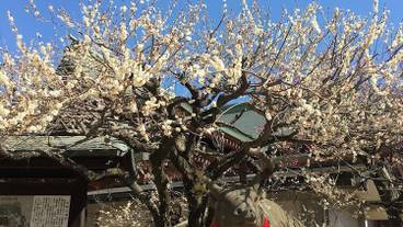 施設からの眺望 / 10