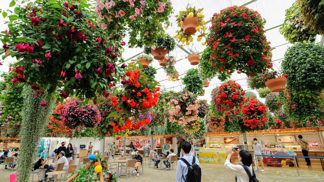 絶景＆グルメを求めて
三島市を観光 / 3