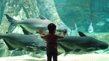 観光スポット / 21