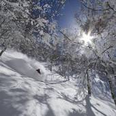 Hakuba Powder Lodge&Cottage(長野県 ペンション) / 3