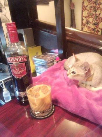 「猫」料理 1231633 自家製コーヒーウォッカできました。その名も「黒猫」です。豆乳を入れたカクテルは「アクビちゃん」と命名！
