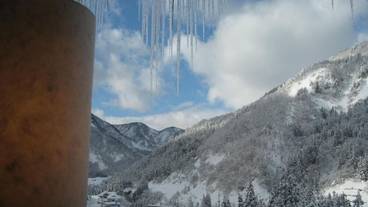 施設の敷地 / 19